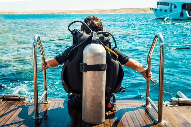 Sinbad Submarine Under The Red Sea - Experience Underwater Wonders