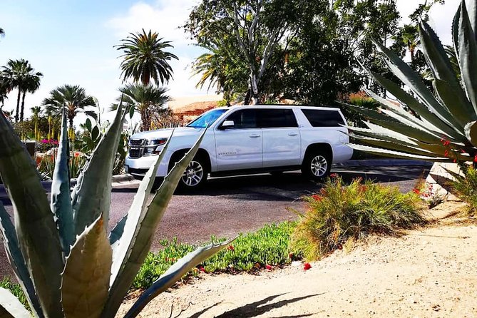 SJD Airport to Cabo San Lucas - One Way Service - Booking and Cancellation Policy