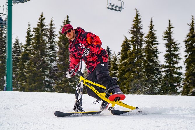 Ski Bike Rental in South Lake Tahoe - Customer Reviews and Feedback