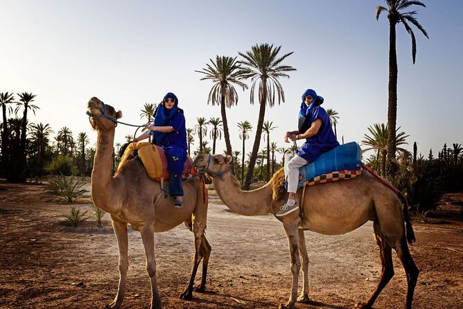 Skip the Line at : Majorelle Garden and Palm Garden. - Convenient Pickup Options