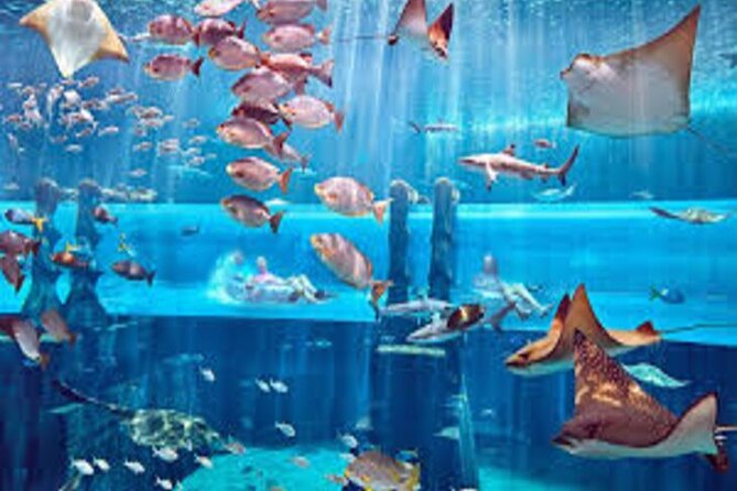 Skip The Line : Atlantis Lost Chambers Aquarium - Frequently Asked Questions