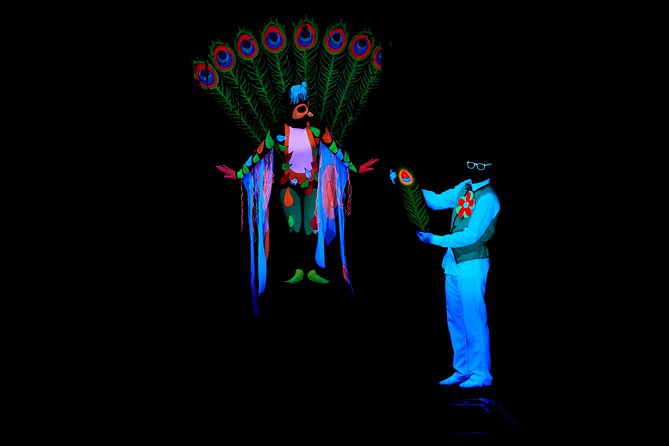 Skip the Line: WOW Show Black Light Theater in Prague Ticket - Booking Information