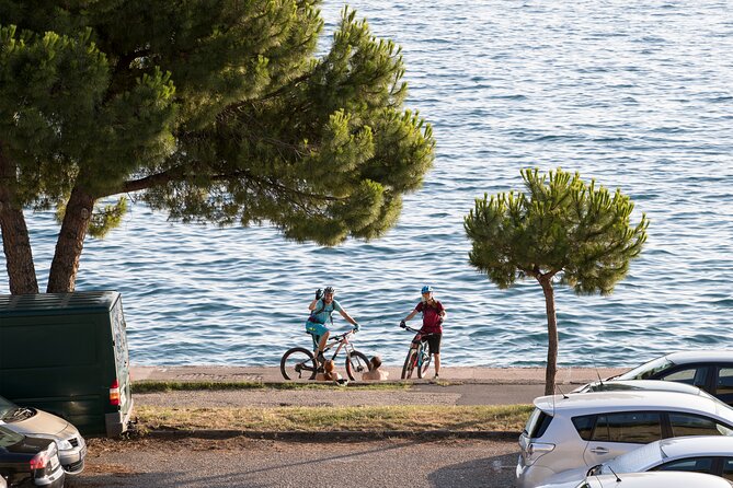 Slovenian Coast Koper, Izola, Piran - Parenzana Electric Biking Tour From Koper - Meeting and End Point