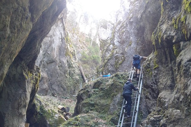 Small-Group Castle, Canyon and Sparkling Wine Day Trip From Brasov - Cancellation and Refund Policy