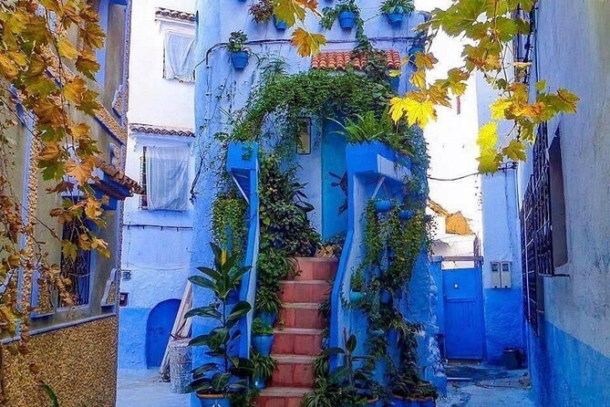 Small Group Day Trip to Chefchaouen From Fez - Booking Information