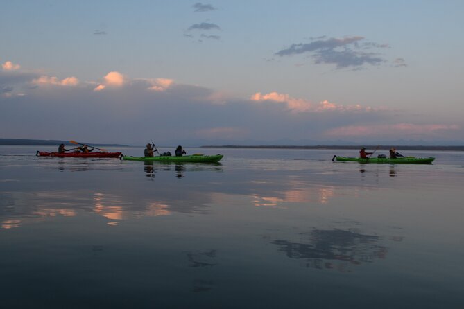 Small-Group Sunset Kayaking Tour on Lake Yellowstone - Health and Physical Requirements