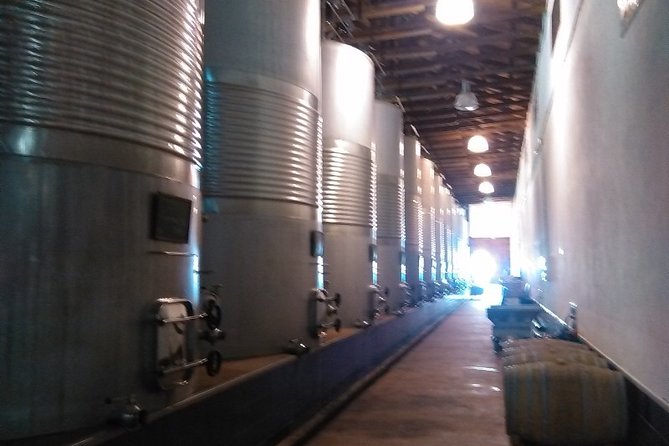Small Group Tour to Toledo, Windmills & Winery Tour With Lunch - Customer Insights and Ratings