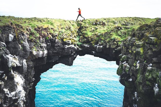 Snaefellsnes Peninsula & Dinner at Lava Resort Restaurant - Ratings and Reviews