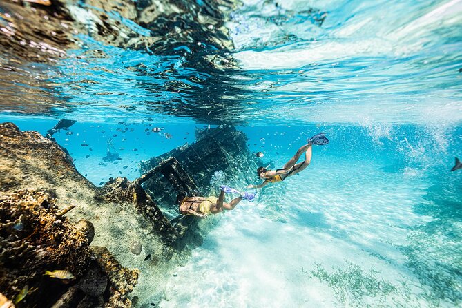 Snorkel in Cancun: With Turtles, Shipwreck, Cenote, and Reef - Activity Restrictions and Recommendations
