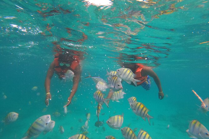 Snorkeling Adventure and Explore Catalina Island From Punta Cana - Catalina Island Exploration