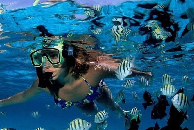 Snorkeling Adventure in St Lucia - Cancellation and Refund Policy
