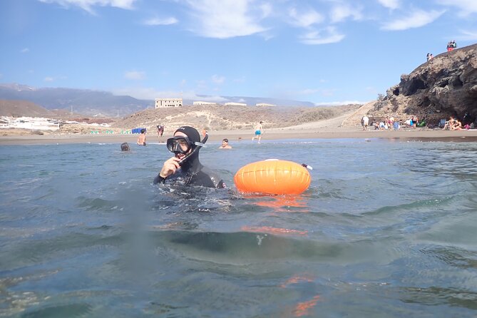 Snorkeling Excursion In South Tenerife - 3,5 Hours - Top Reasons to Join