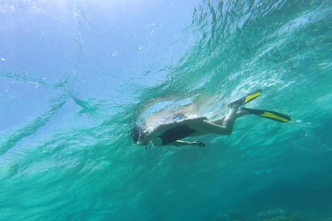 Snorkeling for a Clean Sea Experience - Traditional Beachside Lunch