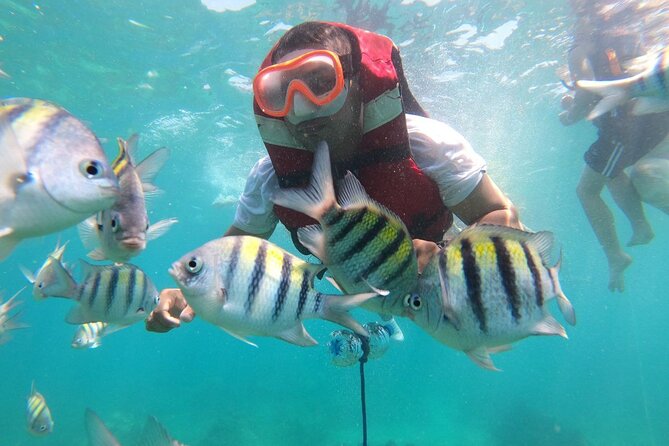 Snorkeling in Baru Island - Questions About Your Stay
