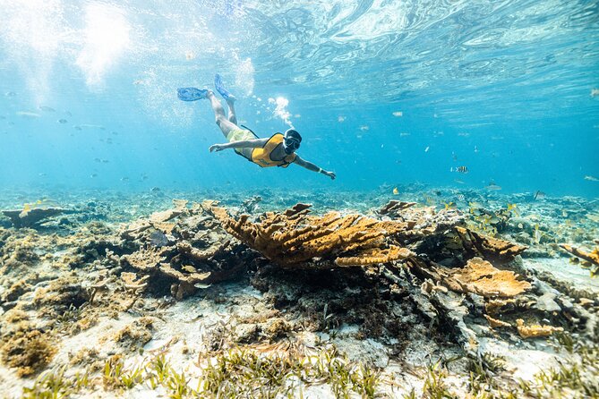 Snorkeling, Parasail and Jet Ski - Jet Skiing Excitement