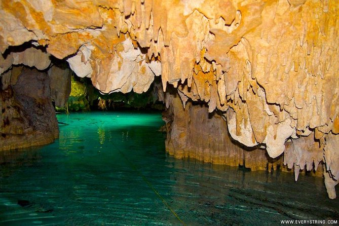 Snorkeling With Caribbean Fish and Private Cenote Exploration - Guest Experiences and Feedback