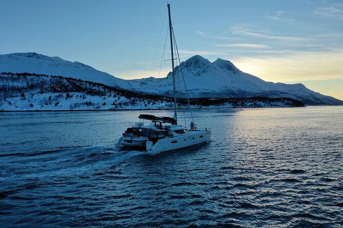 Snorkeling With Orcas in Norway, 4 Days All-Inclusive Expedition - Booking Information and Prices