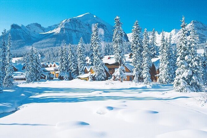 Snow Fun&Hot Springs 1-Day Tour From Calgary/Banff (Small Group) - Accessibility and Additional Information