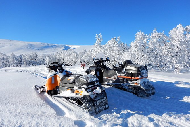 Snowmobile Adventure in Swedish Lapland (Day Tour) - The Sum Up