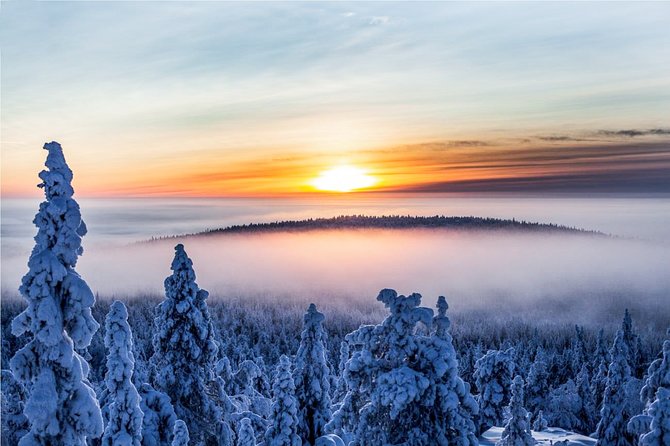 Snowmobile Safari in the Nature - Customer Reviews and Warnings