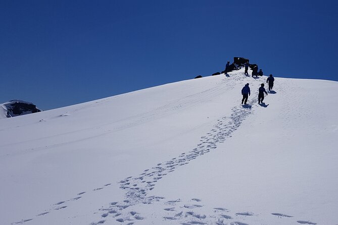 Snowmobile Tour on Vatnajökull - Highlights of the Experience