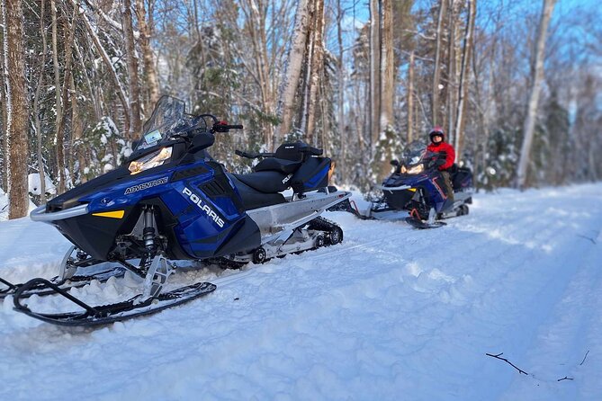 Snowmobiling Activity Rides of 1 Hour 30 - Traveler Review Highlights