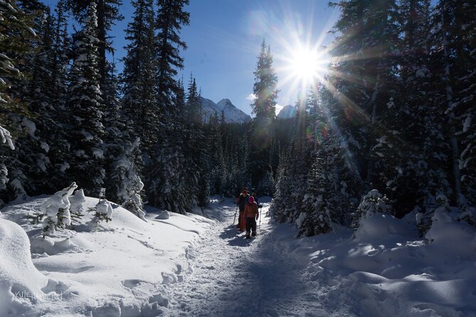 Snowshoeing in Kananaskis - What to Expect