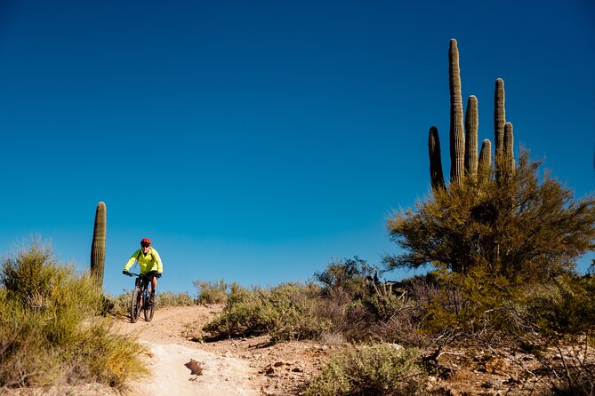 Sonoran Desert 1/2 Mountain Bike Tour Beginner to Advanced Pace - Meeting and Pickup