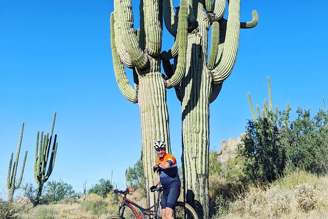 Sonoran Desert Solo 2 Hr. Private Customized Mountain Bike Tour - Private and Customized Experience