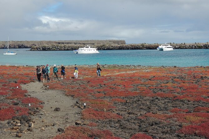 South Plazas and Punta Carrion Day Tour:Land Iguanas & Snorkeling - Snorkeling at Punta Carrion