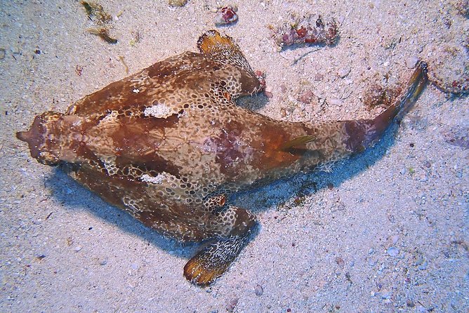 Special!! 2 Tank Wreck & Drift Reef Dives - Meeting Point and Directions