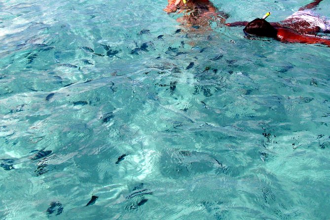 Spectacular Catamaran Trip to Ile Aux Cerf Incl: Undersea Walk, Lunch & GRSE - Recommendations