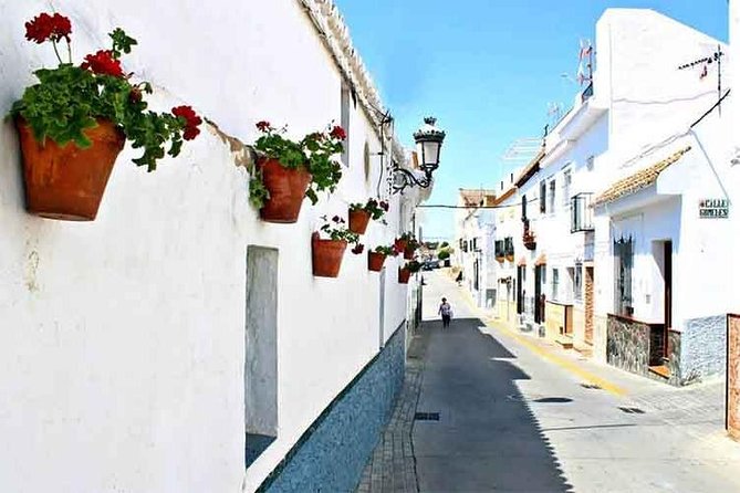 Spend a Day in the White Villages From Cadiz - Tour Highlights