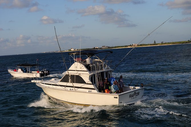 Sport Fishing at the Caribbean Sea. Enjoy an Amazing Time With Friends & Family - Customer Feedback and Ratings