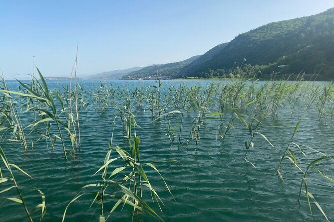 Stand-Up-Paddle Tour on Lake Ohrid - Suitable for All Skill Levels