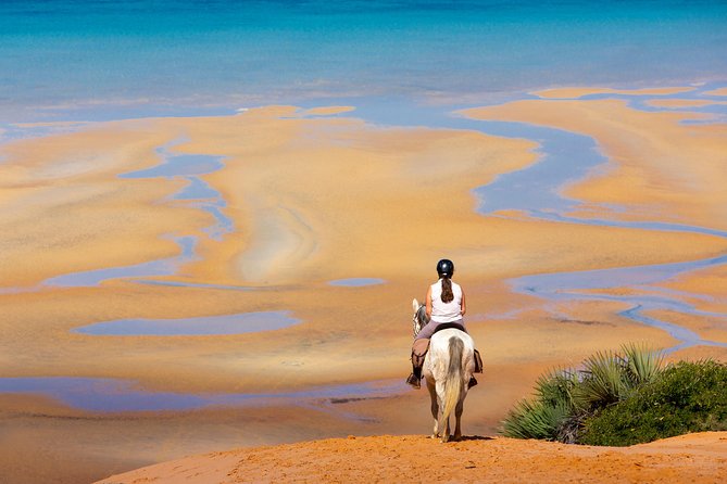 Standard Ride: Beach & Bush - Meeting and Pickup
