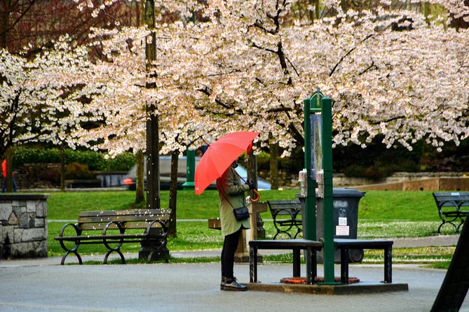 Stanley Park & English Bay Golden Hour Photography - Meeting Point and Start Time