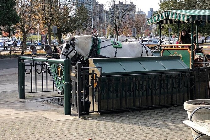 Stanley Park Horse-Drawn Tour - Booking Information