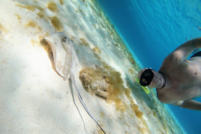 Starfish, Stingrays and the Turtle Bay Experience by Catamaran - Recommendations and Considerations