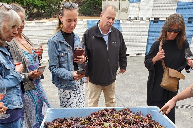 Summerland Private Wine Tour - Half Day - Reviews