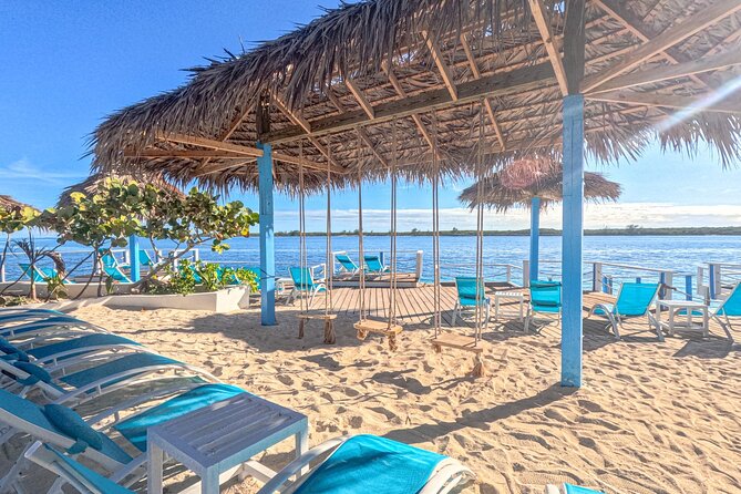 Suncay Sunken Sculpture Snorkel & Iguana Encounter With Lunch - Positive Experiences