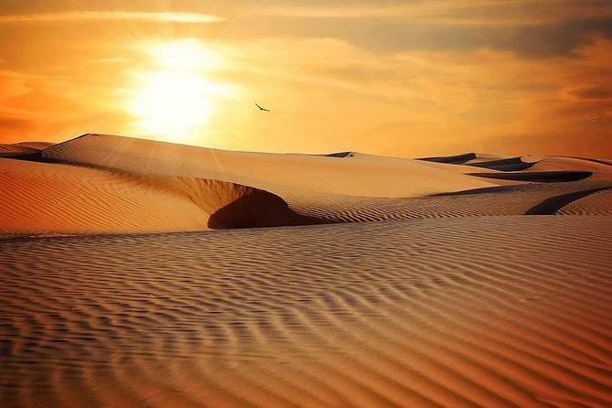 Sunrise in Dubai Desert - Sandboarding and Dune Bashing