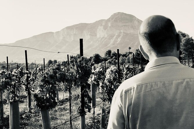 Sunset Among Vineyards With Tasting in Alicante (Min 6-12 People) - Cancellation and Refund Policies