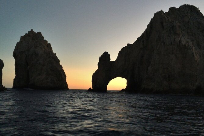 Sunset Whale Cruise in Cabo San Lucas - Customer Feedback Insights