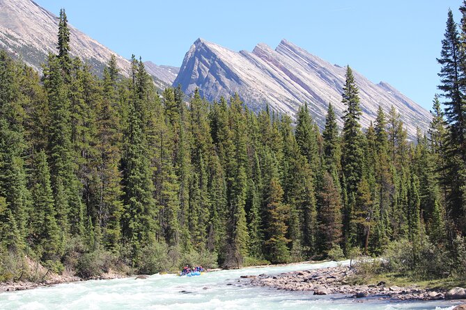 Sunwapta Challenge Whitewater Rafting: Class III Rapids - Wildlife Viewing Opportunities
