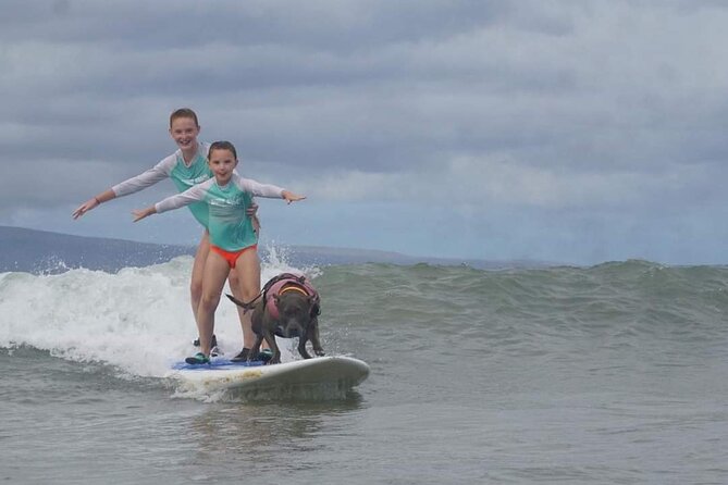 Surf With a Service Animal - Meeting Point and Transportation