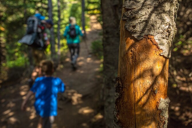 Survival Hike - Hiking Highlights
