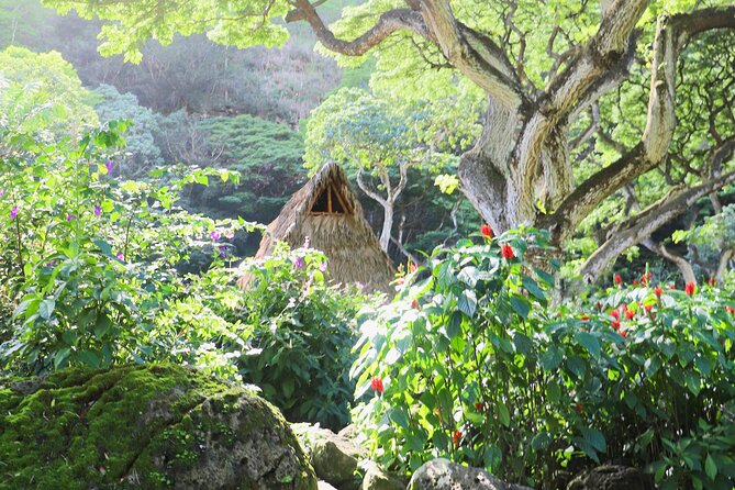 Swim at Oahu Waterfall in Waimea With Coffee, Lunch and Dole - Transportation and Logistics