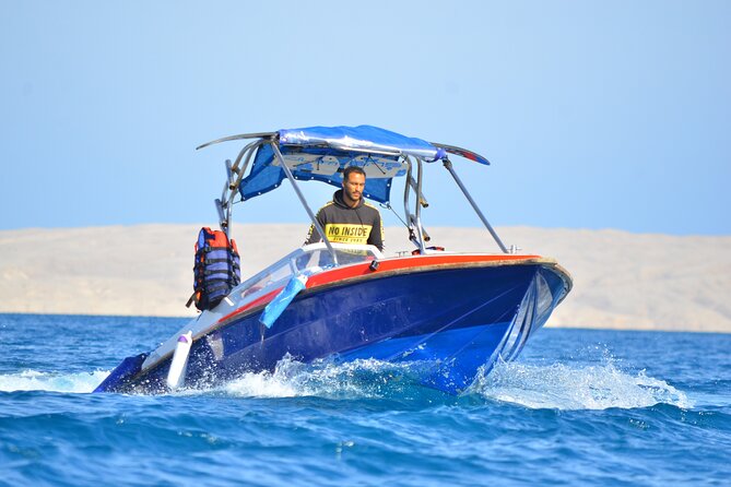Swim With Dolphin By Semi PRIVATE Speedboat 4 Hours Sea Trip & Transfer-Hurghada - Important Information