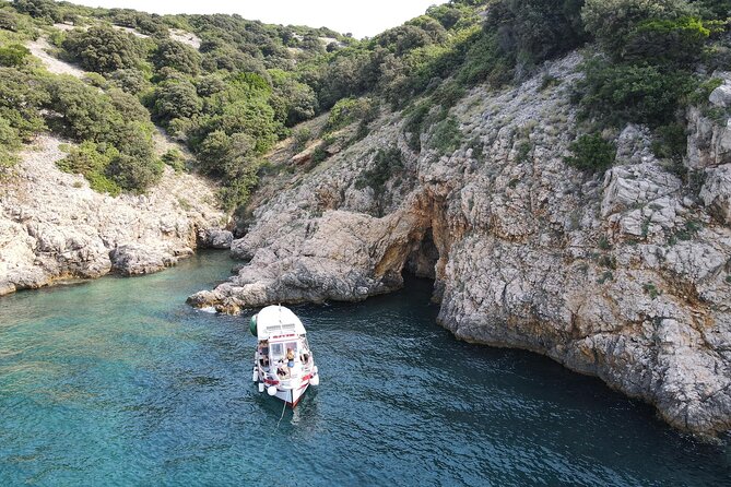 Swimming and Snorkeling on the Wild Bays 3.5 Hours (PUBLIC) - Reviews and Feedback Highlights
